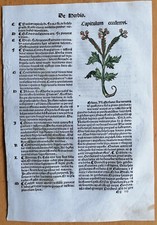 Original Post Inkunabel Hortus