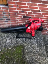 Laubbläser Benzin TB310QS