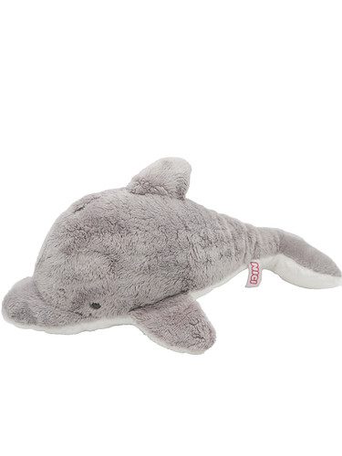 Nici delfin grau - nici,