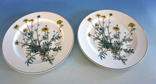 Vintage Villeroy & Boch