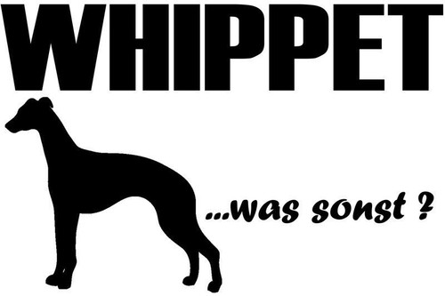 Aufkleber whippet sticker - whippet,
