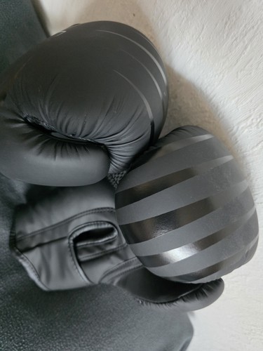 Profi boxhandschuhe oz - boxhandschuhe,