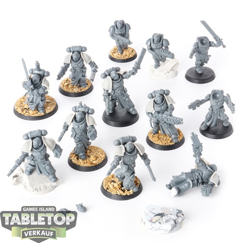 Black templars 10 primaris - templars,