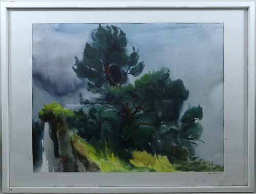 Max wild lauenstein 1911 - wild, (lauenstein