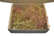 Muwse Seemoos 1 Karton