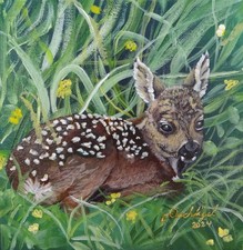 Rehkitz in der Wiese, Acryl