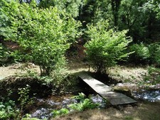 Foto 6x4 Kleine Insel im Fluss