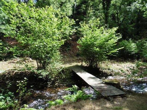 Foto 6x4 kleine insel - foto,
