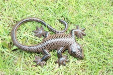 Gusseien gekko salamander - gusseien,