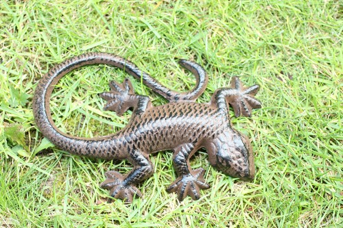 Gusseien gekko salamander - gusseien,