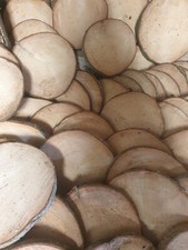 10x Baumscheibe Fichte ca