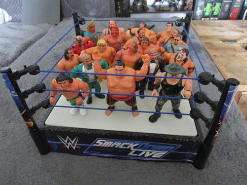 Wwf smack down live ring - down,