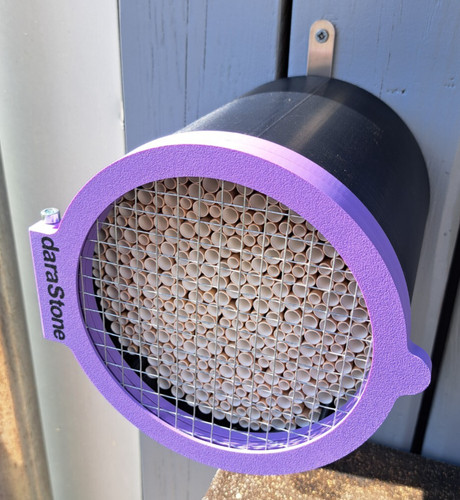 Wildbienen nisthilfe absolut - wildbienen-nisthilfe,