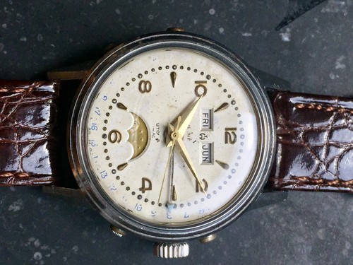 High class felsa 693 bidynator - class,