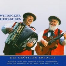Nur das Beste von Wildecker Herzbuben | CD | Zustand sehr gut