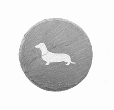 Dackel Hund Kurz Mantel