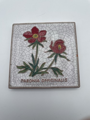 Karlsruher majolika wandkachel - majolika,