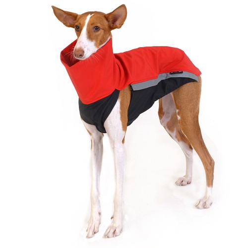 Sofshelljacke windhund - sofshelljacke,
