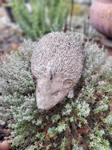 Polyresin igel spikes - igel,