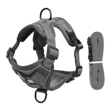 Katzengeschirr Mit Leine