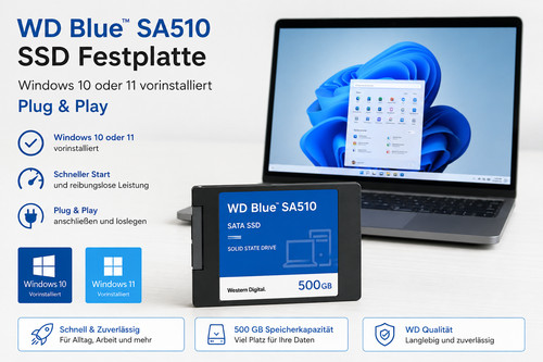 Ssd festplatte blue sa510 - ssd, wd