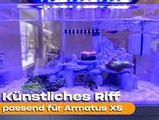 Künstliches Riff passend für