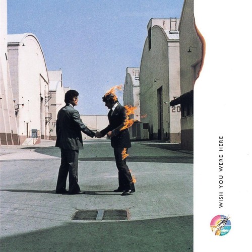 Pink floyd wish - pink,