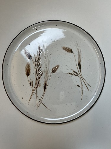 Midwinter stonehenge wild oats - stonehenge,