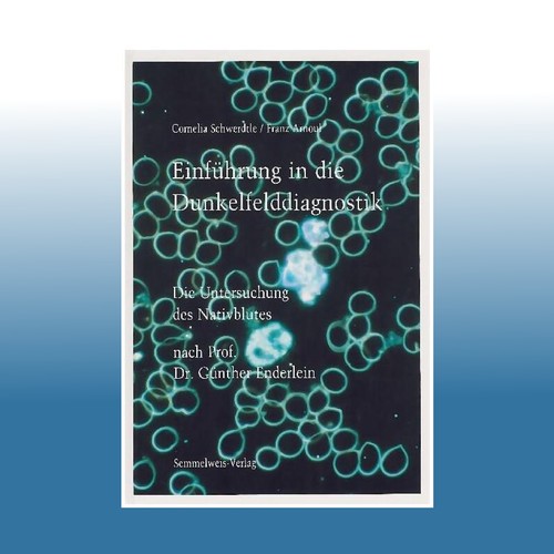 Einführung die - einführung,