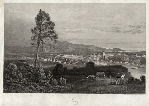 Linz donau gesamtansicht - donau,