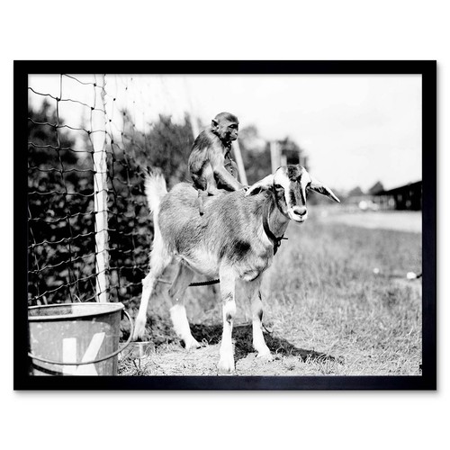 Vintage fotografie - vintage,