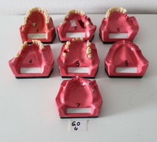 Go Dent Schaumodelle 1-7 Modellset Patienteninformation Art. Nr. GO-4