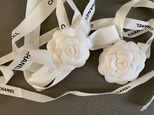 Chanel blume kamelie - blume, blüte