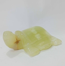 Onyx Schildkröte (Größe: 10