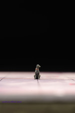 1/64 Sitting Dobermann Dog Pet