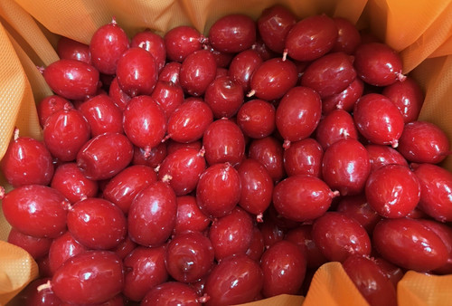 8kg kerzenreste wachsreste - kerzenreste,,