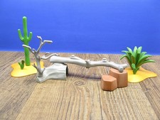 Kakteen Agave Western