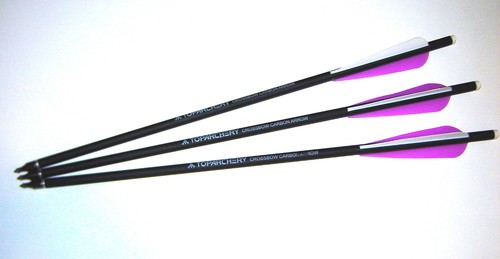 Top archery armbrust pfeile - archery,