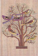 Alte Kunstpostkarte - Singing birds on a mimosa tree