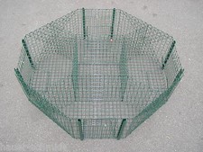 8-Eck Elsternfalle Lebendfalle