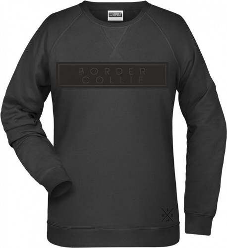 Border collie hund raglan - collie,