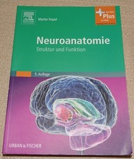Neuroanatomie: Struktur und