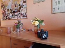 Alter Fotoapparat  1930  mit Ledertasche