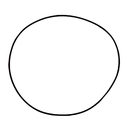 Dichtring