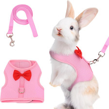 Kaninchen Leine 120cm weiche