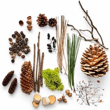 Naturdeko DIY Naturmaterialien