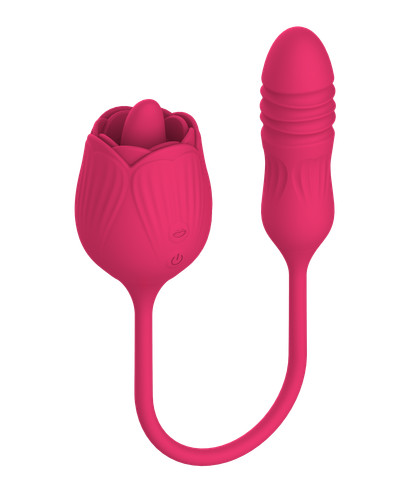 Vibrator stimulation klitoris - vibrator,