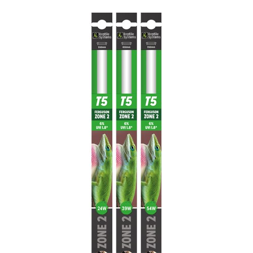 Reptile systems - reptile,