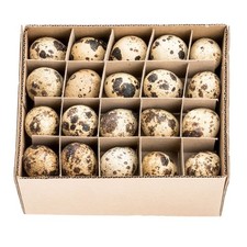 60x Wachteleier Natur