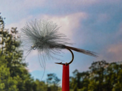 Trockenfliege cdc parachute - ",